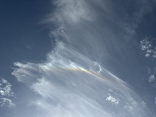IMG_1832 IMG_1832